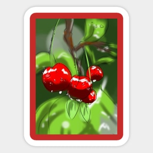 Juicy Sweet Cherries Fruit Sticker